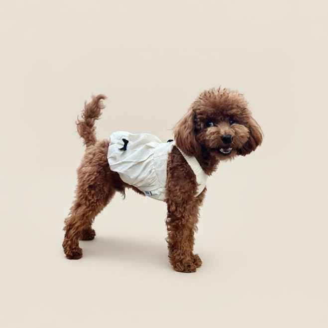 Vestito Bianco Idrorepellente per Animali con Eleganti Fiocchi