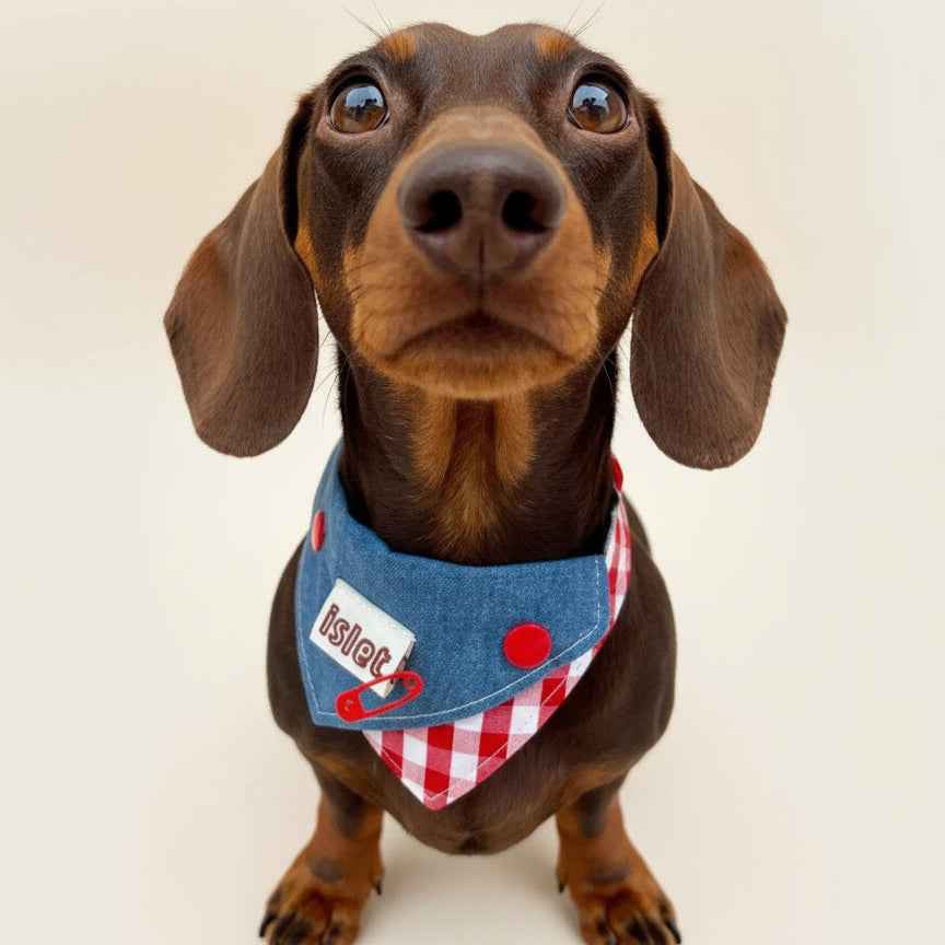 Bandana per Animali in Denim e Quadretti Vintage – Stile Morbido con Audaci Dettagli a Bottoni Rossi